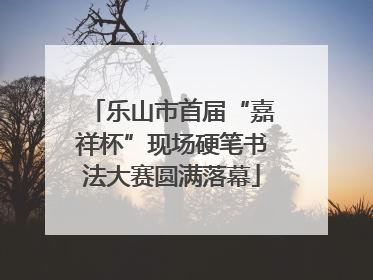 乐山市首届“嘉祥杯”现场硬笔书法大赛圆满落幕