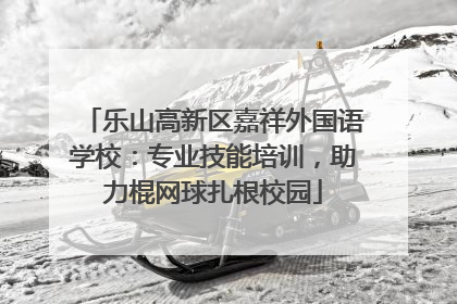 乐山高新区嘉祥外国语学校：专业技能培训，助力棍网球扎根校园