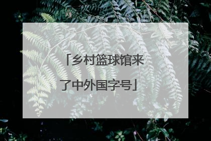 乡村篮球馆来了中外国字号