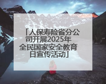 人保寿险省分公司开展2025年全民国家安全教育日宣传活动