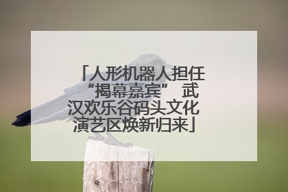 人形机器人担任“揭幕嘉宾” 武汉欢乐谷码头文化演艺区焕新归来