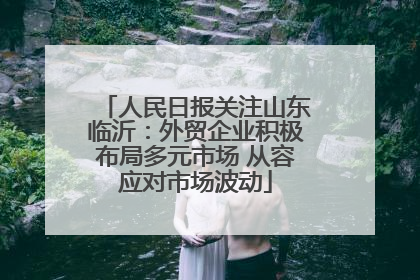 人民日报关注山东临沂：外贸企业积极布局多元市场 从容应对市场波动