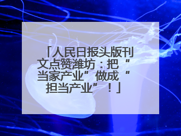 人民日报头版刊文点赞潍坊：把“当家产业”做成“担当产业”！