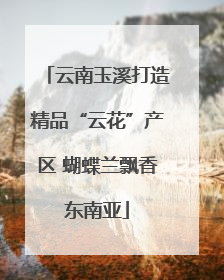 云南玉溪打造精品“云花”产区 蝴蝶兰飘香东南亚