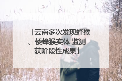 云南多次发现蜂猴、倭蜂猴实体 监测获阶段性成果