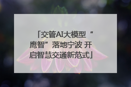 交管AI大模型“鹰智”落地宁波 开启智慧交通新范式