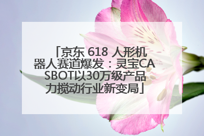 京东 618 人形机器人赛道爆发：灵宝CASBOT以30万级产品力搅动行业新变局