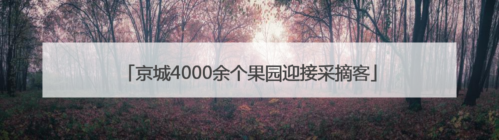 京城4000余个果园迎接采摘客