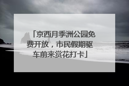 京西月季洲公园免费开放，市民假期驱车前来赏花打卡