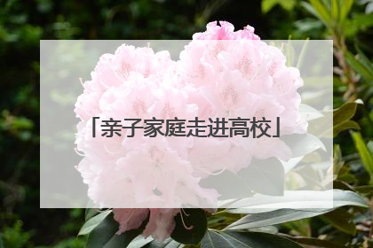 亲子家庭走进高校