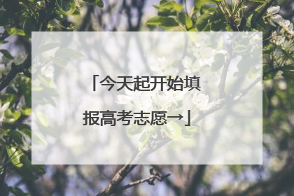 今天起开始填报高考志愿→