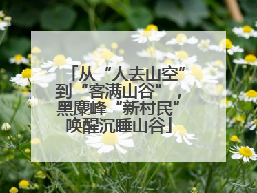 从“人去山空”到“客满山谷”，黑麋峰“新村民”唤醒沉睡山谷