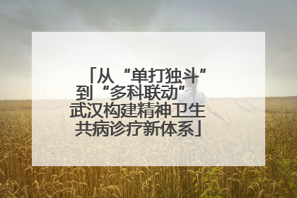 从“单打独斗”到“多科联动” 武汉构建精神卫生共病诊疗新体系
