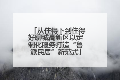 从住得下到住得好聊城高新区以定制化服务打造“鲁派民居”新范式