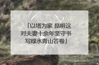 以塔为家 昆明这对夫妻十余年坚守书写绿水青山答卷