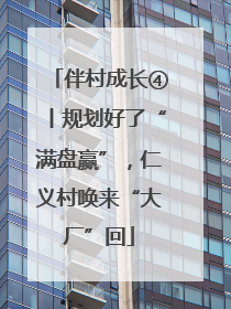 伴村成长④丨规划好了“满盘赢”，仁义村唤来“大厂”回