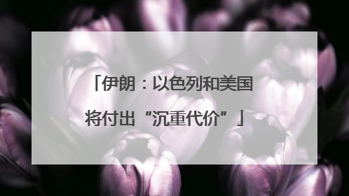 伊朗：以色列和美国将付出“沉重代价”