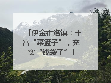 伊金霍洛镇：丰富“菜篮子”，充实“钱袋子”