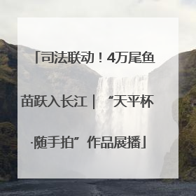 司法联动！4万尾鱼苗跃入长江｜“天平杯·随手拍”作品展播
