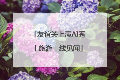 友谊关上演AI秀丨旅游一线见闻