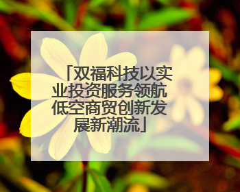 双福科技以实业投资服务领航低空商贸创新发展新潮流