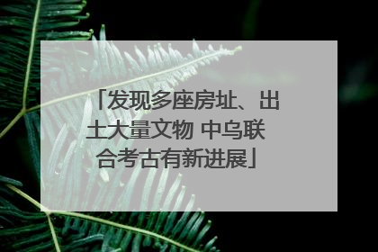 发现多座房址、出土大量文物 中乌联合考古有新进展
