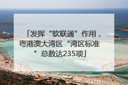 发挥“软联通”作用，粤港澳大湾区“湾区标准”总数达235项