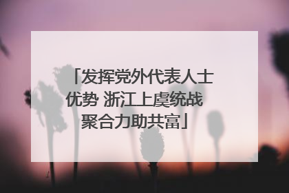 发挥党外代表人士优势 浙江上虞统战聚合力助共富