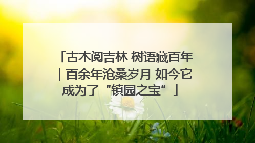 古木阅吉林 树语藏百年｜百余年沧桑岁月 如今它成为了“镇园之宝”