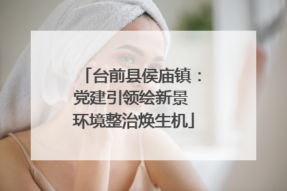 台前县侯庙镇：党建引领绘新景 环境整治焕生机