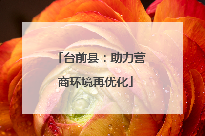 台前县：助力营商环境再优化