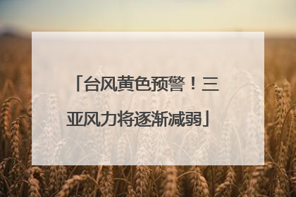 台风黄色预警！三亚风力将逐渐减弱