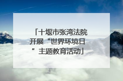 十堰市张湾法院开展“世界环境日”主题教育活动