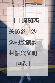 十堰郧西关防乡：沙沟村绘就乡村振兴文明画卷