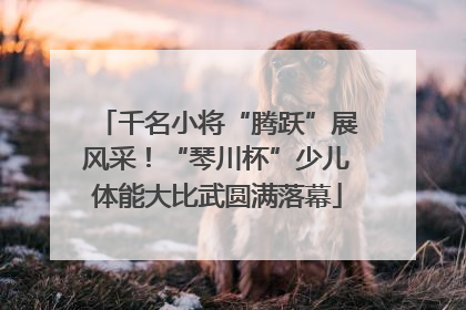 千名小将“腾跃”展风采！“琴川杯”少儿体能大比武圆满落幕