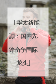 华太新能源：国内先锋奋争国际龙头
