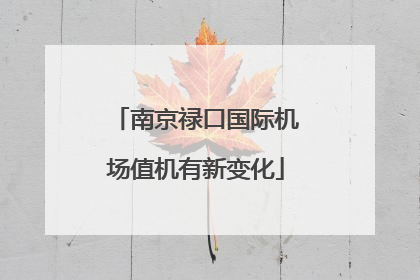 南京禄口国际机场值机有新变化
