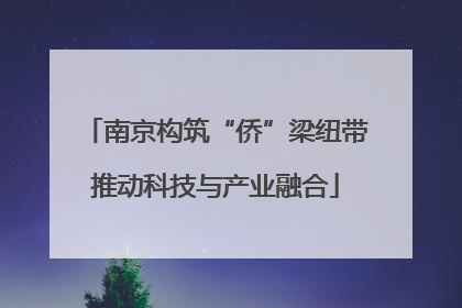 南京构筑“侨”梁纽带推动科技与产业融合