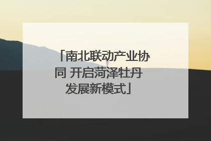 南北联动产业协同 开启菏泽牡丹发展新模式