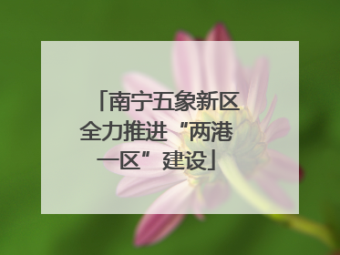南宁五象新区全力推进“两港一区”建设