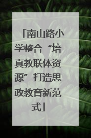 南山路小学整合“培真教联体资源”打造思政教育新范式