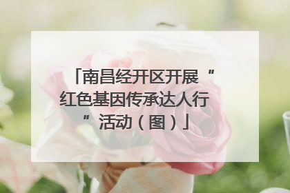 南昌经开区开展“红色基因传承达人行”活动（图）