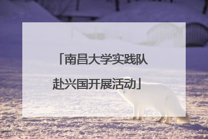 南昌大学实践队赴兴国开展活动