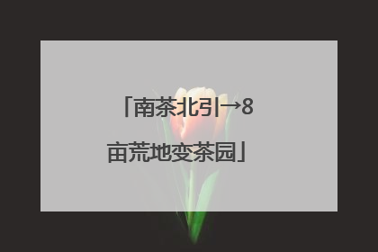 南茶北引→8亩荒地变茶园