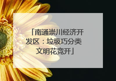 南通崇川经济开发区：垃圾巧分类 文明花竞开
