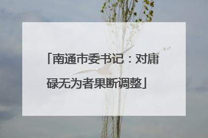 南通市委书记：对庸碌无为者果断调整