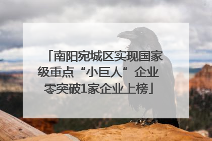 南阳宛城区实现国家级重点“小巨人”企业零突破1家企业上榜