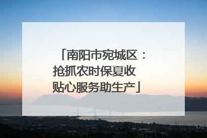 南阳市宛城区：抢抓农时保夏收 贴心服务助生产