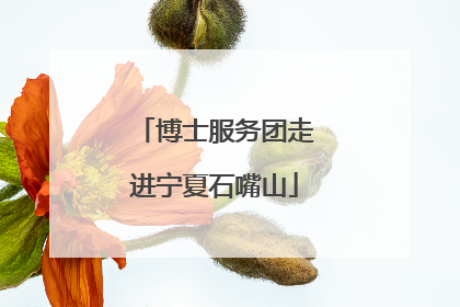博士服务团走进宁夏石嘴山