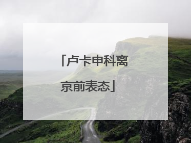 卢卡申科离京前表态